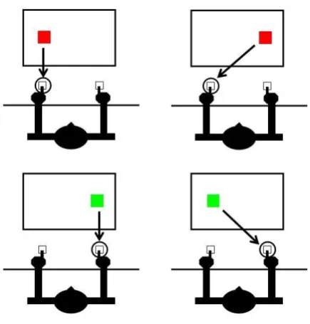 Figure 1.1 Example of a typical Simon task. In each trial a stimulus (a colored square) is presented either on the left or on the right of the screen but its location is irrelevant to the task