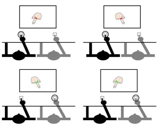 Figure 1.2 Schematic representation of the joint Simon paradigm employed by Sebanz et al