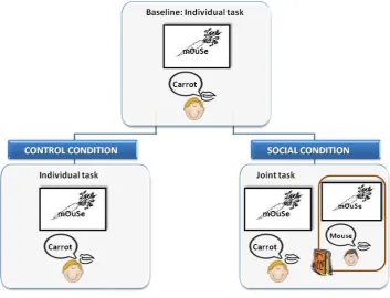 Figure 3.3. Schematic representation of the experimental design adopted in Experiment 2