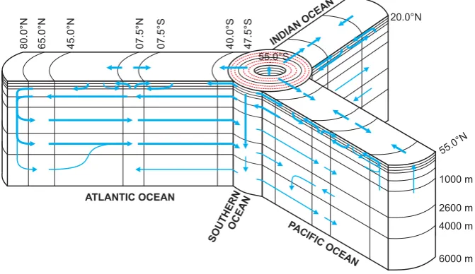 Fig. 1. Structure of the zonally-averaged model of marine biogeochemical cycling. Ocean circulation is delineated by blue arrows