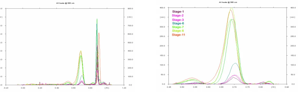 Fig. 3 TLC of samples collected at different stages of growth detection at @366nm  