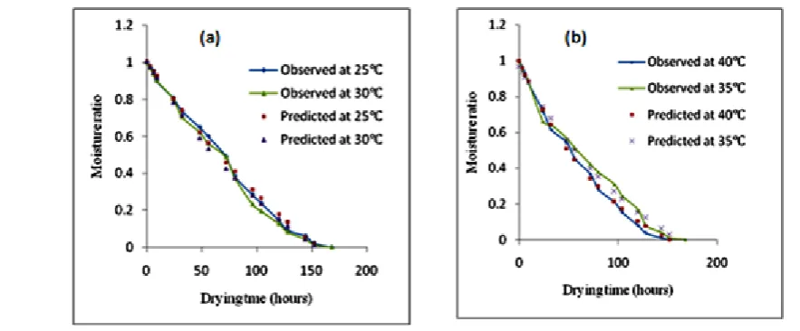 Figure 1  Relationship between the measured and predicted moisture ratios for the Logarithmic model 