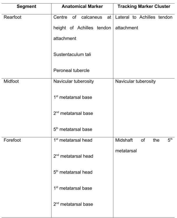 Table 2. Anatomical and tracking marker locations for the MSFM used within this study