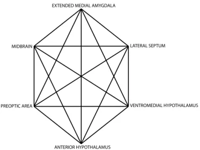 Figure 2.1 The social behaviour network as originally described by Newman, 1999 