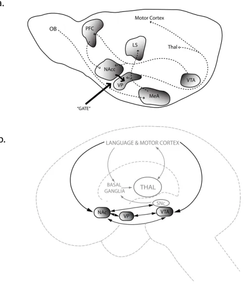 Figure 2.3 The social core of the language learning:  
