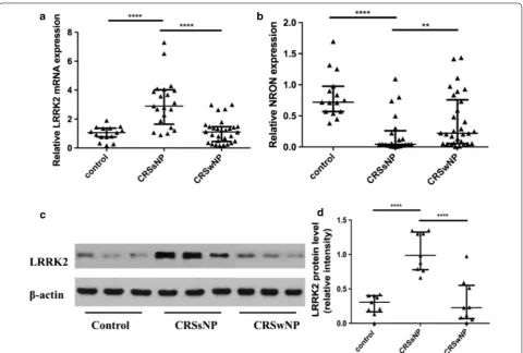 Fig. 1 The expression of LRRK2 and NRON in nasal tissues. groups and the control group; densitometric analysis