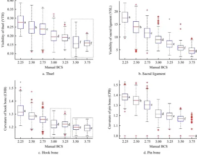 Figure 8  Distribution of features by BCS. Different letters indicate data groups being significantly different ( 