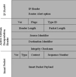 Figure 4: Active packet format in SmartPackets Project 