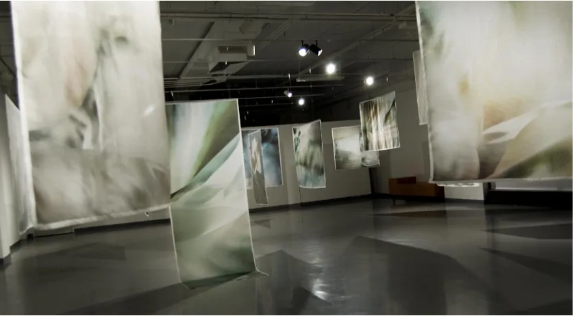 Fig. 3.1  Chaism installation image; SPAS Gallery, Rochester Institute of Technology, 2008