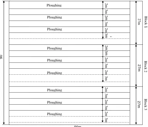 Figure 1  Experimental field layout  