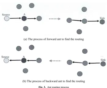 Fig. 3. Ant routing process 