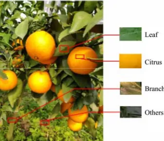 Figure 2  Image segmented by SLIC algorithm  