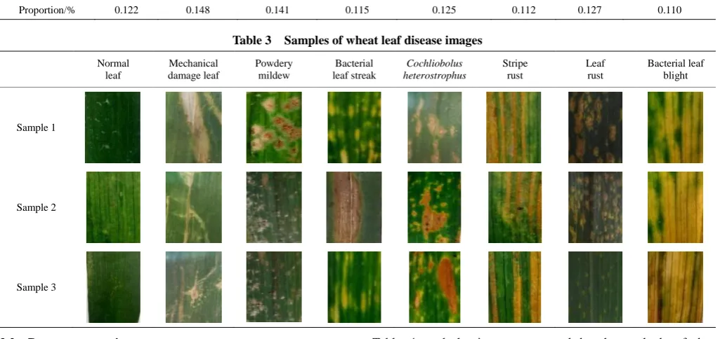 Table 4, and the images processed by the methods of data augmentation are shown in Table 5