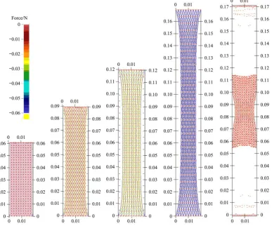 Figure 12  Results of virtual stretching (length units: m) 