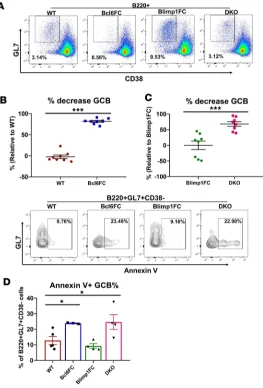 Figure 6. Increased GC B cell apoptosis in TFR-deficient mice. WT, Bcl6FC, Blimp1FC, and DKO mice were immunized with SRBCs and spleen cells were analyzed by flow cytometry for B220+CD38–GL7+ GC B cells