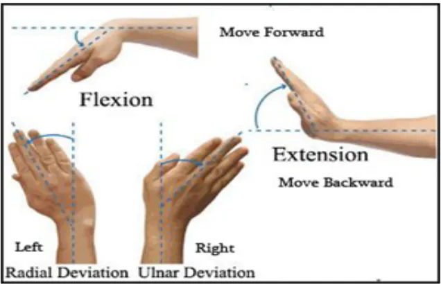 Fig. 1.  