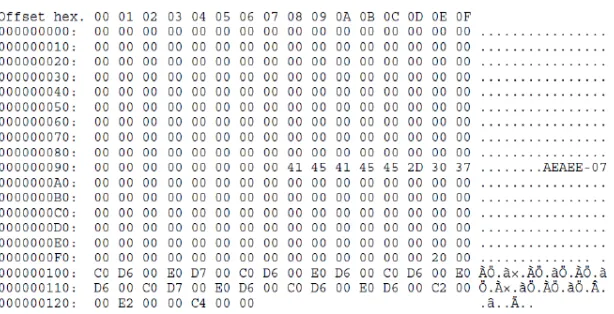 Fig. 2. ‘emb’ file generated by the Wilcom to get coordinates for the horizontal line 