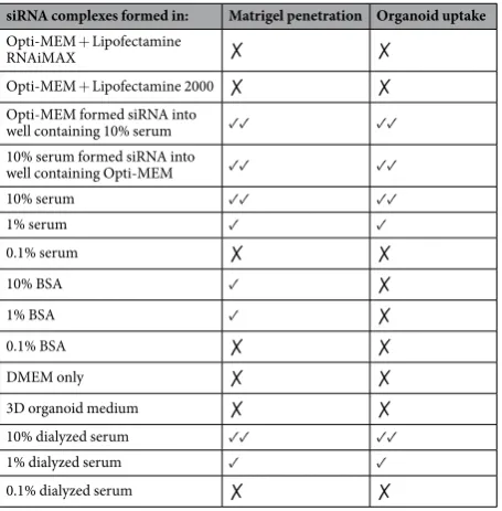 Table 1. Summary of all conditions used to prepare siRNA and their subsequent effect upon siRNA uptake efficiency in 3D culture.