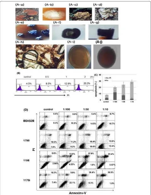 Figure 1 (See legend on next page.)