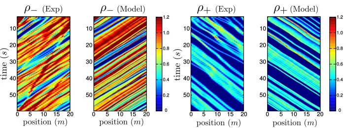 Figure 5. Model results and comparisons with experiment datawith the 75%−25% ﬂux balance: %75 are moving to the left (ρ−)and %25 are moving to the right (ρ+)
