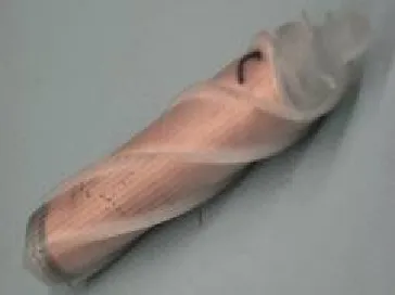 Figure 51: Impeller, Courtesy of the Blood Pump Lab at RIT. 