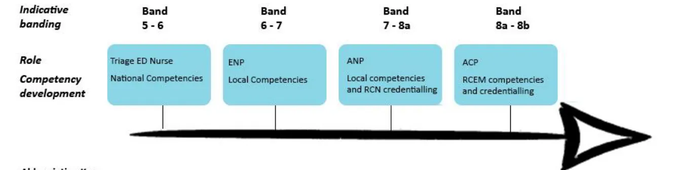Figure 1B. Advanced practice continuum in emergency care 