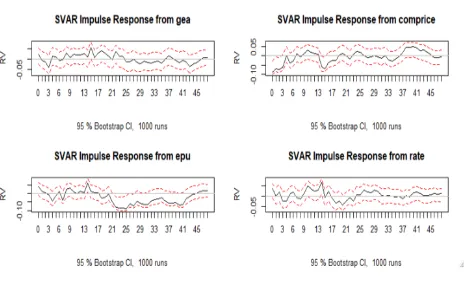 Figure 11. SVAR impulse responses for Brazil. 