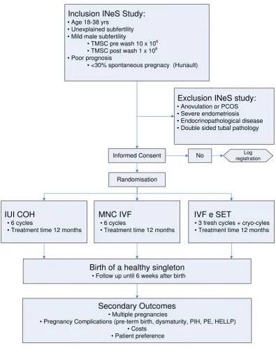 Figure 1Flowchart of studyFlowchart of study.