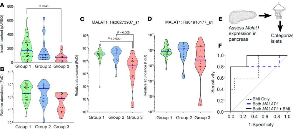 Figure 3. Assessing MALAT1 lncRNA expression in the validation (islet) and prediction (pancreas) sample sets