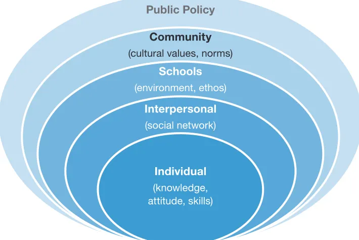 Figure 1: The factors influencing violent behaviour