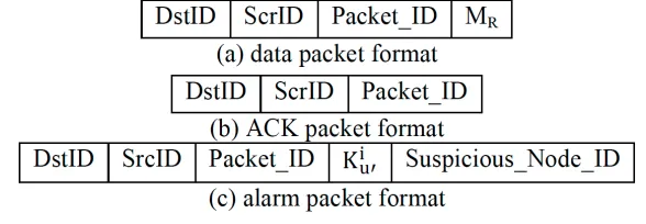 Fig. 3. Various Data Packet Formats 