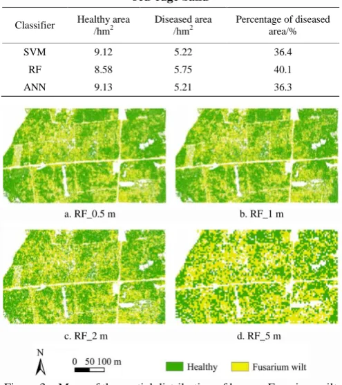 Figure 3  Maps of the spatial distribution of banana Fusarium wilt infected regions in the study area using RF classifier with the inclusion of the red-edge band for different resolution images 