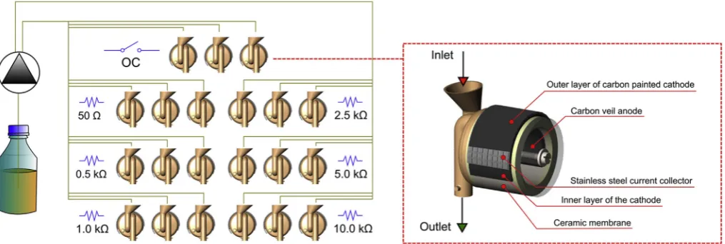 Fig. 1. Schematic representation of experimental design and MFC design. The experimental setup consisted of predeﬁned external loads only in the ﬁrst stage (weeks1–5) of the experiment