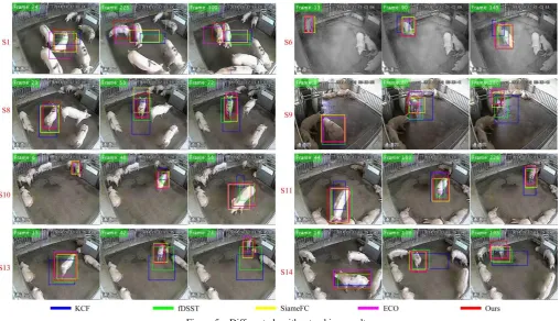 Figure 6  DP and OP values of different algorithms on random video data sets 