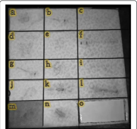 Figure 1 Palpation board covered.
