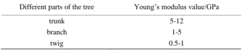 Table 1  The value range of Young’s modulus for a tree[31] 