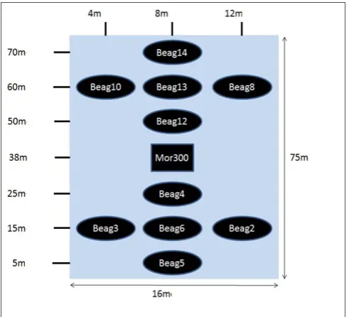 Figure 1Planar schematic of placement of sensor boxes in 