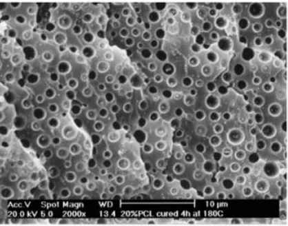 Figure 7. Phase separation in PCL/epoxy blend [49]. 