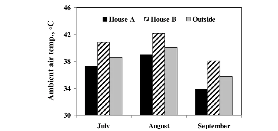 Figure 2 Average air temperature during summer season within different sheep houses in comparison with outside air temperature  