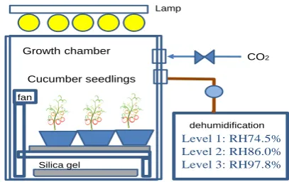 Figure 6  A schematic diagram of assimilation box 