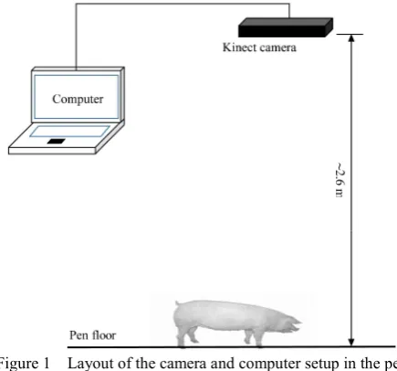 Figure 2  Grayscale image before segmentation 