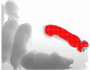 Figure 5  Output image showing inactive pig plotted in red 