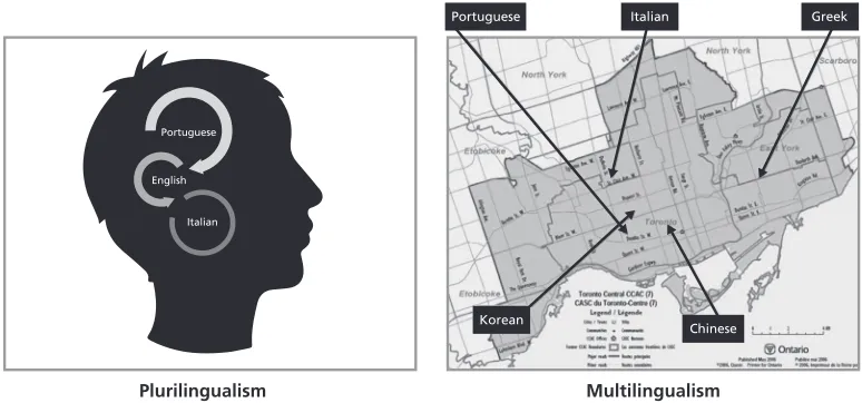 Figure 1. A Visualization of Plurilingualism and Multilingualism