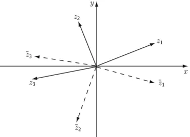 Figure 1.4. Mirror image of complex numbers