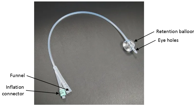 Figure 1. Foley catheter. Indicated are the main features; the eye holes through which urine drains, the retention balloon which retains the device in the bladder, the funnel through which urine drains and collection equipment is connected, and the inflati