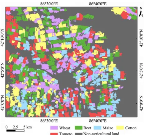 Figure 8  Crop classification result derived from multifeatures and optical-based segmentation 