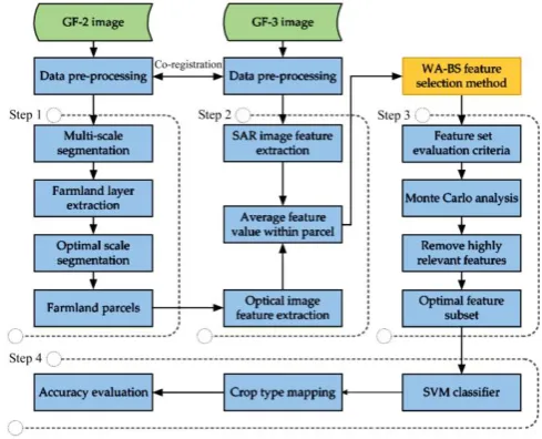 Figure 3  Overview of the methodology for mapping crops with the combined use of optical and SAR remote sensing images 