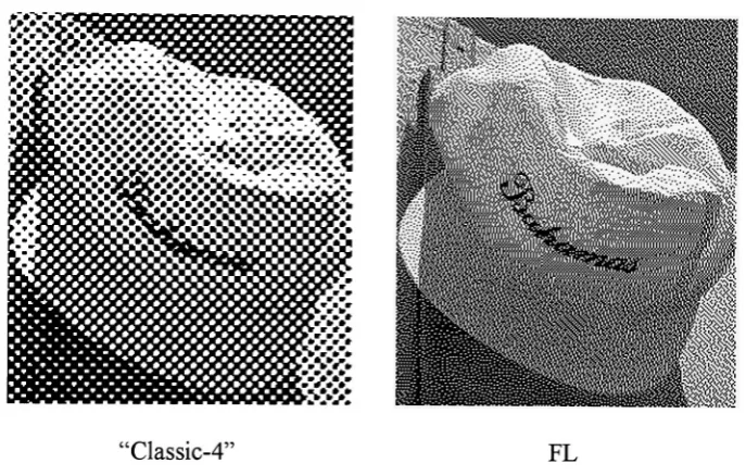 Figure 2-20 Partial Magnification ofHats in Figure 2-3 and Figure 2-10 (100dpi)