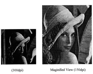 Figure 4-2 Lena Halftoned with FL