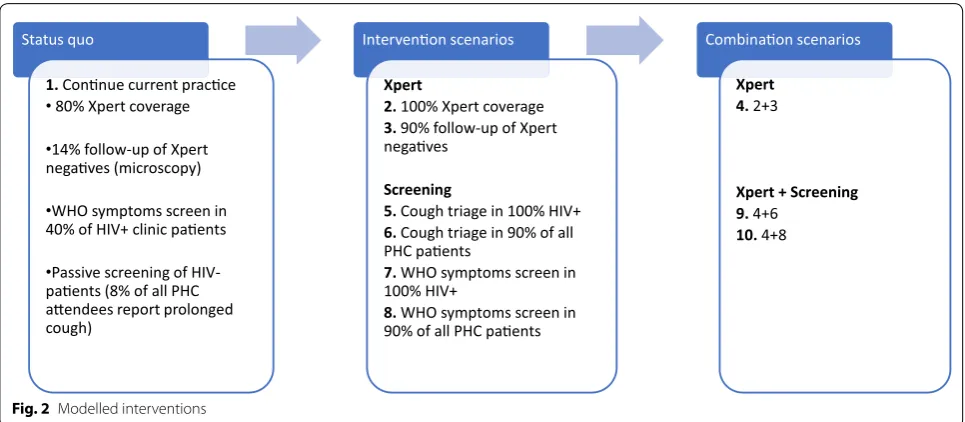 Fig. 2 Modelled interventions